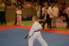 DSC_0089.jpg (49kb)